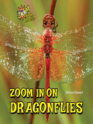 Zoom In on Dragonflies - ebook